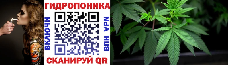 Купить наркоту Грозный Cocaine  Конопля  МЕФ  Альфа ПВП  ГАШИШ 